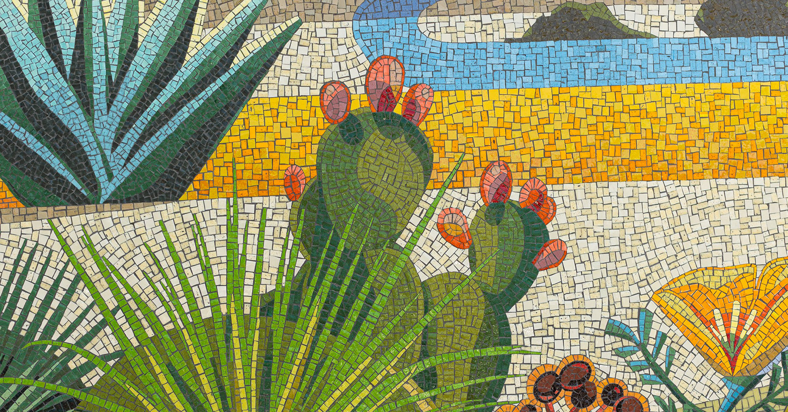 Mosaic of cacti and succulents