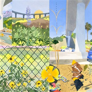 Image description is not available.