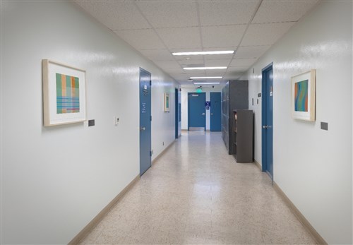 Image description is not available