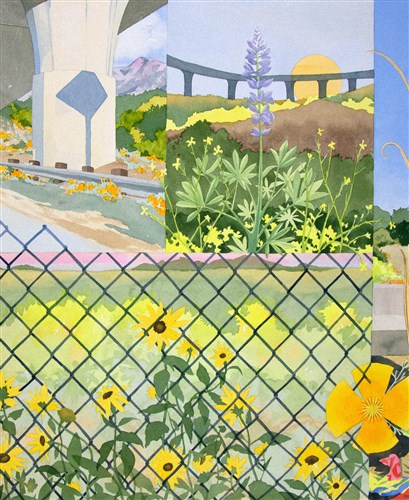 Image description is not available