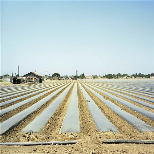 Image description is not available