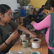 Link to Grant Guidelines PDF