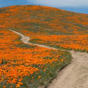 Land Acknowledgment Toolkit & Resources