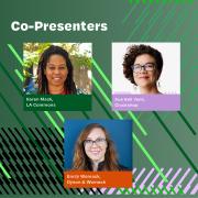 Link to video recording of PAiD Professional Development Workshop: Why Public Art?