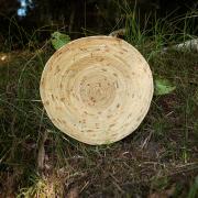 link to LANAIC 'Metting Calendar'