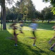 Link to Arts Field Convening Recording