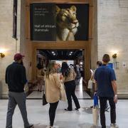 link to 'faq for employees' document pdf