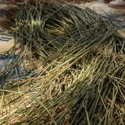 Basket Weaving