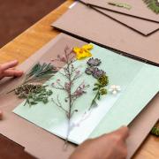 Link to LA County Creative Communities Activity Cards PDF