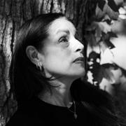 link to Patricia Hernández pdf