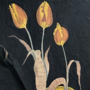 Collections Care - Vendors