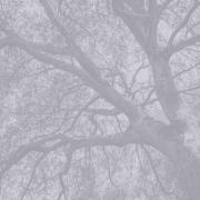 Link to Department of Human Resources Wellness Resources Webpage