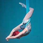 Link OGP Sample Application PDF