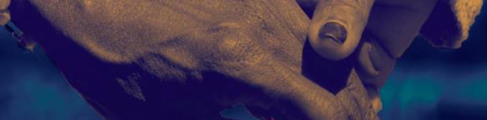 Two hands clasping on a blue background