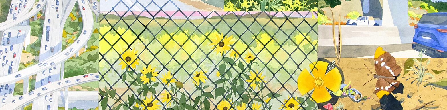 Six paintings of wildflowers in urban settings