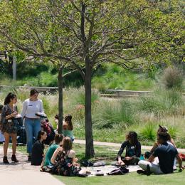 Poems And Poets to Descend on Michillinda Park