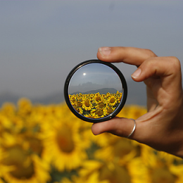 Tips and Tricks for Artistic Documentation